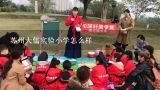 苏州大儒实验小学怎么样,苏州金山实验小学怎么样