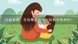 目前来看，青岛哪家幼小衔接教育机构好？青岛最好的私立幼儿园排名