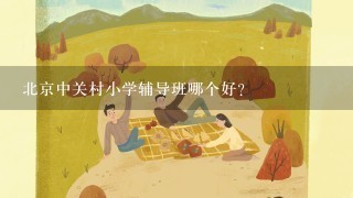 北京中关村小学辅导班哪个好？