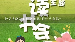 梦见大骆驼有什么预兆?是什么意思?