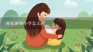 西安新知小学怎么样