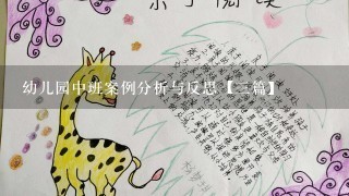 幼儿园中班案例分析与反思【三篇】