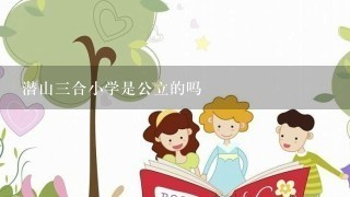 潜山三合小学是公立的吗