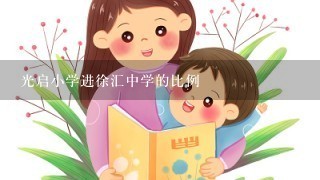 光启小学进徐汇中学的比例