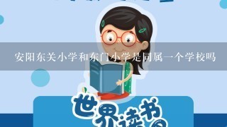 安阳东关小学和东门小学是同属一个学校吗