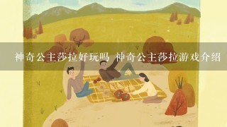 神奇公主莎拉好玩吗 神奇公主莎拉游戏介绍