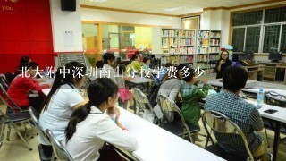 北大附中深圳南山分校学费多少