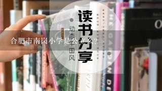 合肥市南岗小学是公立么？