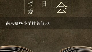 南京哪些小学排名前30？