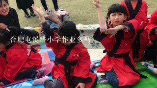 合肥屯溪路小学作业多吗