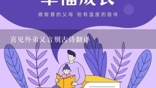 喜见外弟又言别古诗翻译