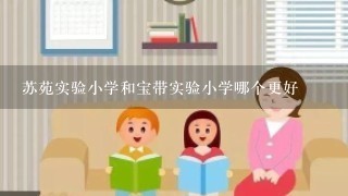 苏苑实验小学和宝带实验小学哪个更好