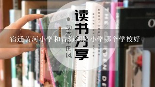 宿迁黄河小学和青海湖路小学哪个学校好