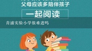 青浦实验小学很难进吗