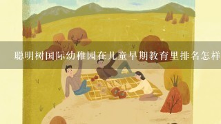 聪明树国际幼稚园在儿童早期教育里排名怎样？谢谢了。