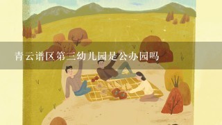 青云谱区第三幼儿园是公办园吗