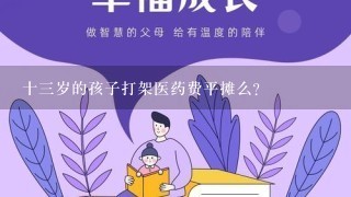 十3岁的孩子打架医药费平摊么?