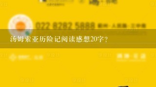 汤姆索亚历险记阅读感想20字？