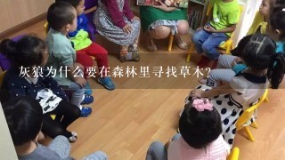 灰狼为什么要在森林里寻找草木?