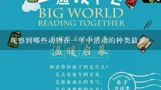 观察到哪些动物在一年中活动的种类最少?