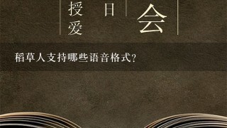 稻草人支持哪些语音格式?